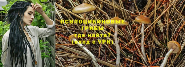 винт Бронницы